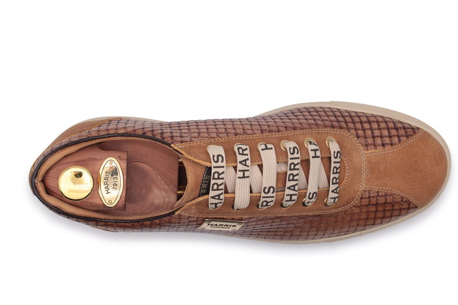 Outlet Harris Shoes 1913 | Leader Sneakers Brown