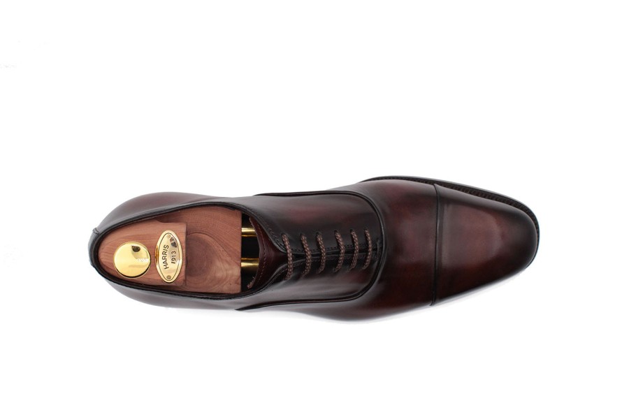 Outlet Harris Shoes 1913 | Leather Stringed Brown