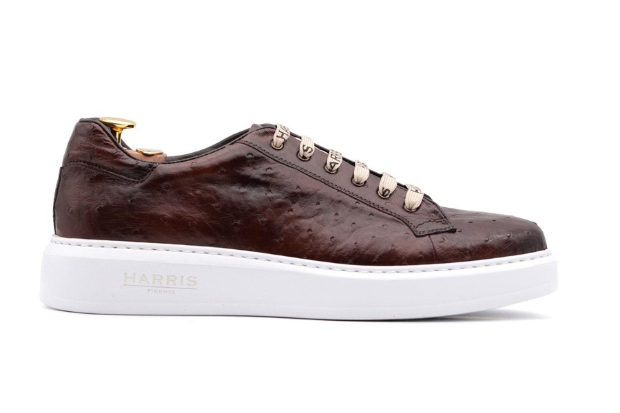 Fine Leathers Harris Shoes 1913 | Ostrich Leather Sneakers Brown