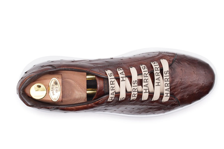 Fine Leathers Harris Shoes 1913 | Ostrich Leather Sneakers Brown