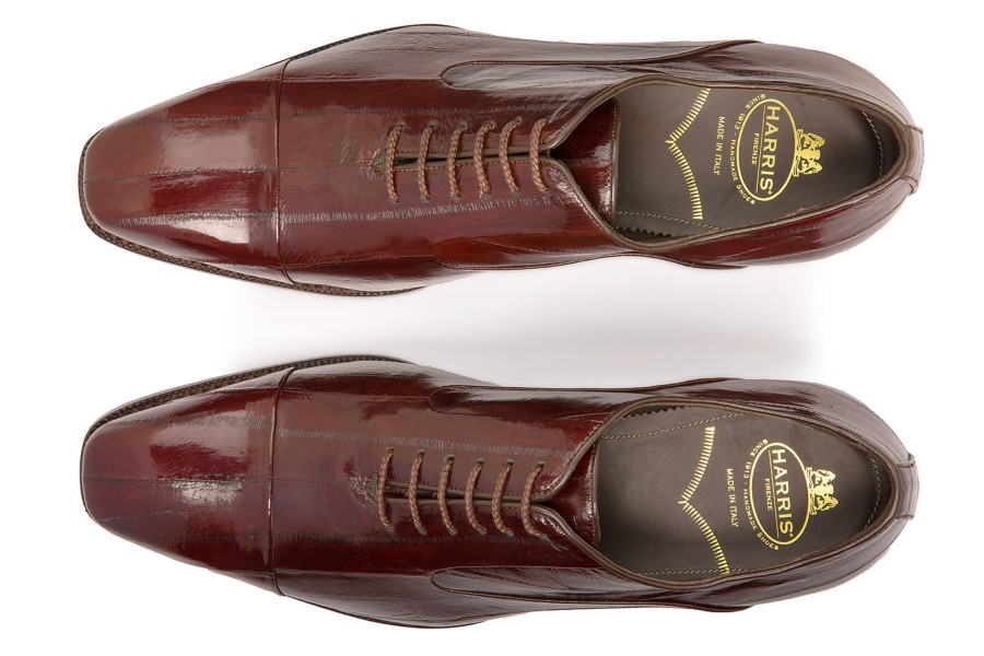 Lace-Up Harris Shoes 1913 | Stringed In Eel Brown