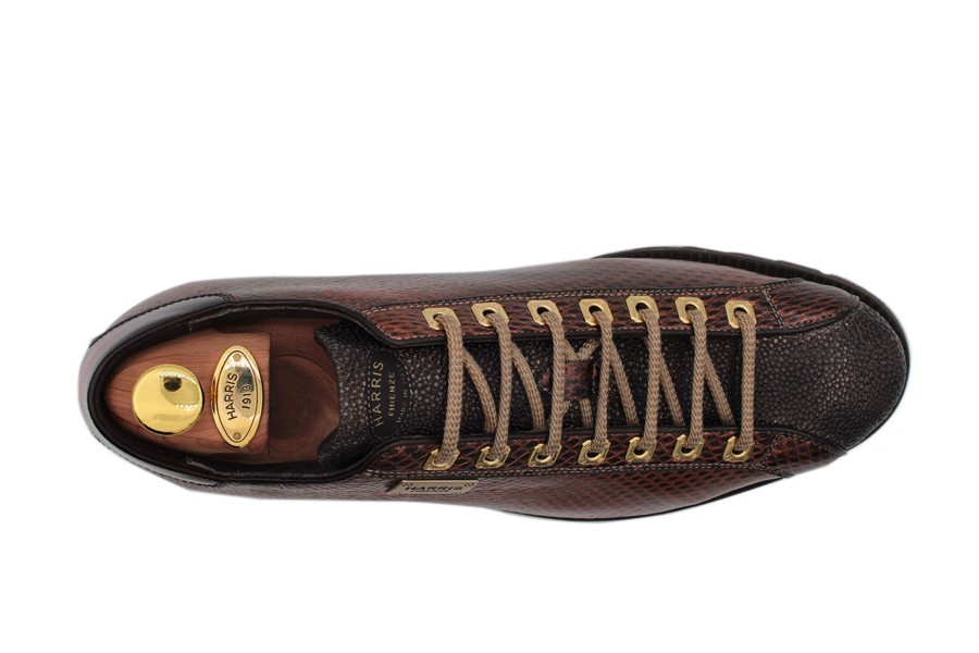 Outlet Harris Shoes 1913 | Leather Sneakers Marrone